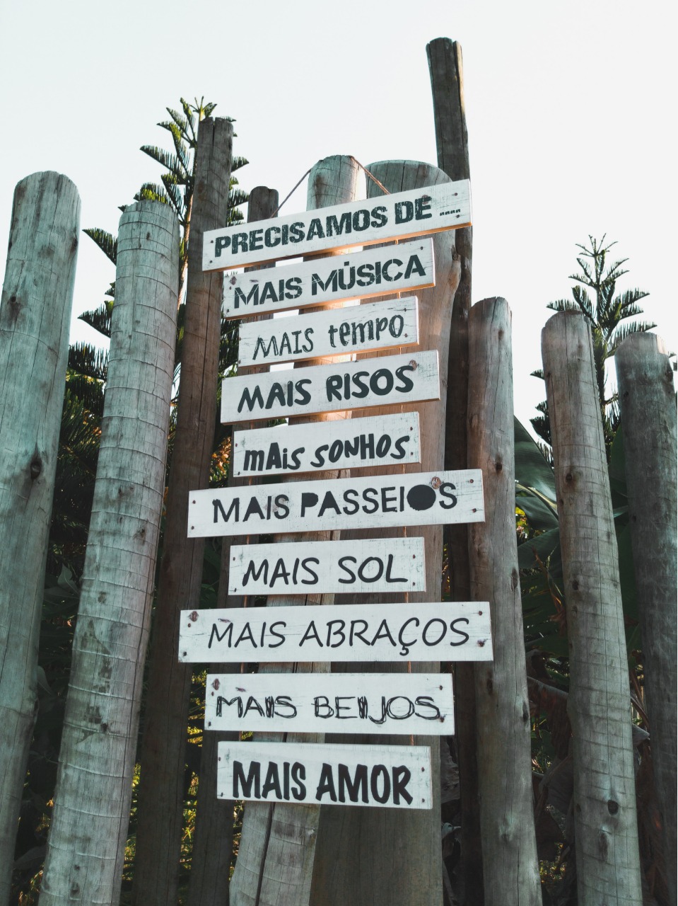 Frase de 10 Ripas